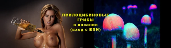 амф Арсеньев