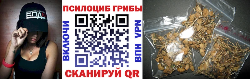 как найти наркотики  Тайга  Галлюциногенные грибы Magic Shrooms 