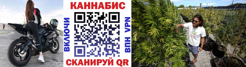 Шишки марихуана Ganja Тайга